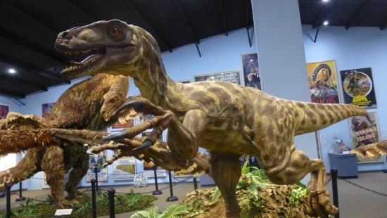 The Dinosaur Museum